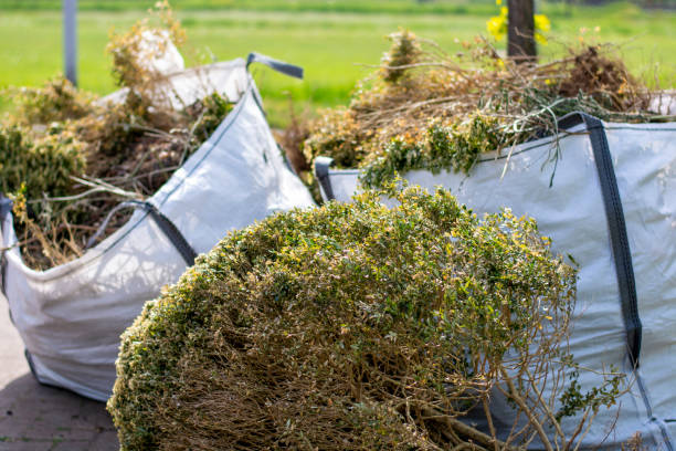  Rutherford, NJ Junk Removal Pros